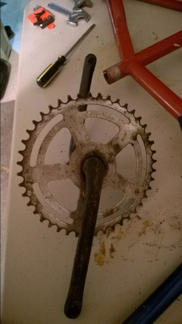 wp_20170302_19_35_08_pro