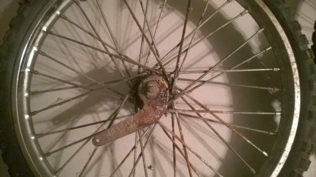 WP_20170308_18_07_03_Pro